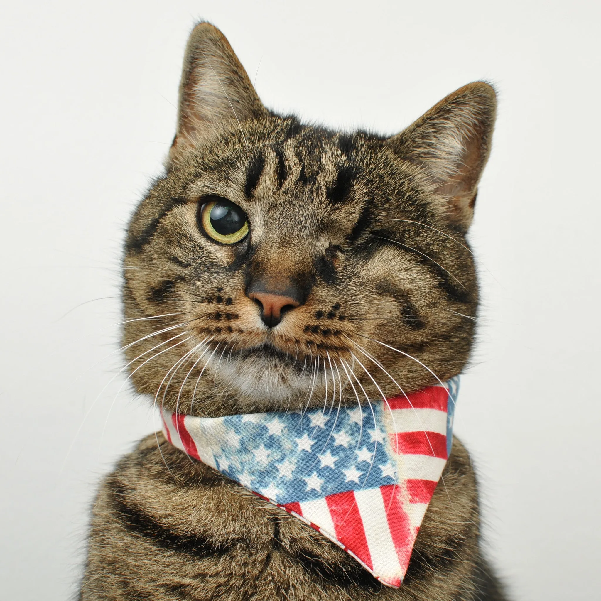 Americat