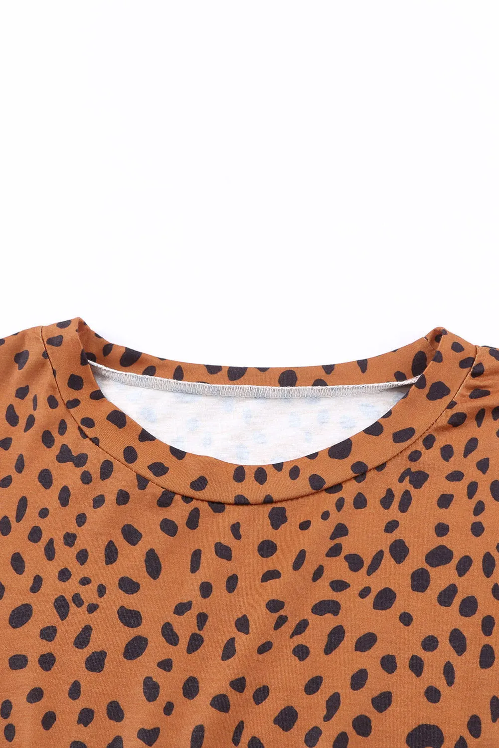 Brown Casual Crew Neck Long Sleeve Leopard Print Dress