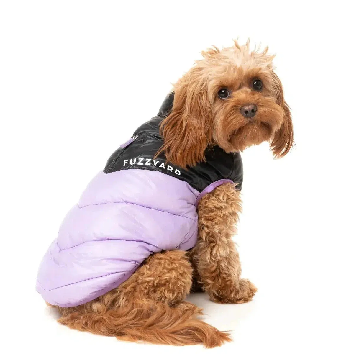 FuzzYard | South Harlem Dog Puffer Jacket - Lilac