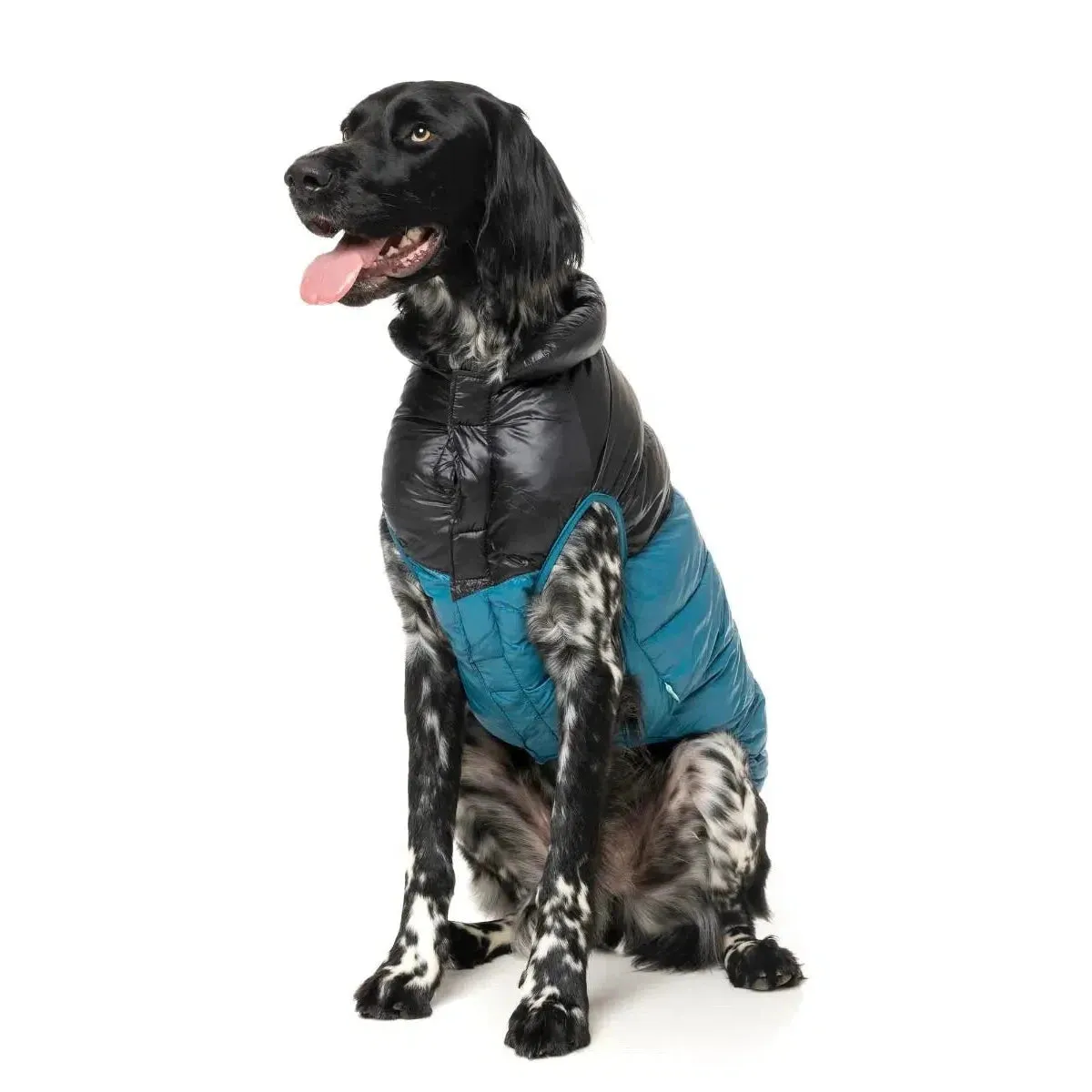 FuzzYard | South Harlem Dog Puffer Jacket - Marine