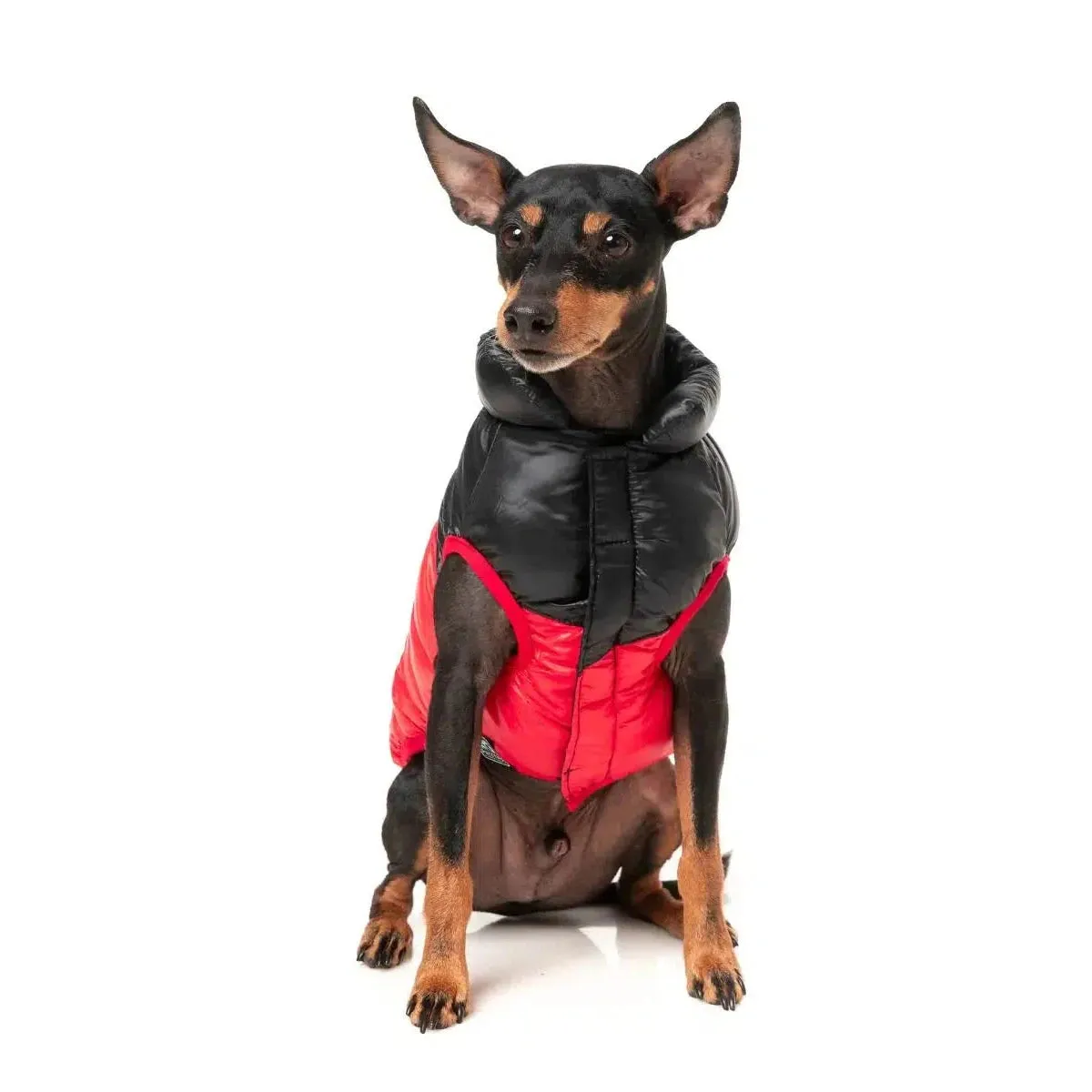 FuzzYard | South Harlem Dog Puffer Jacket - Red