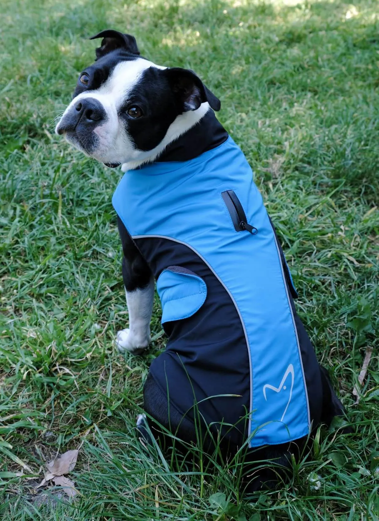 Gor Pets Wrapid Water Resistant Dog Coat