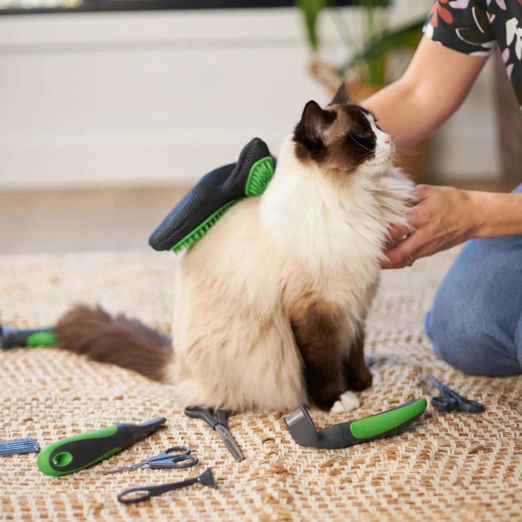 Grooming Glove