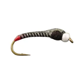 Jumbo Juju Chironomid - Zebra - Size 14