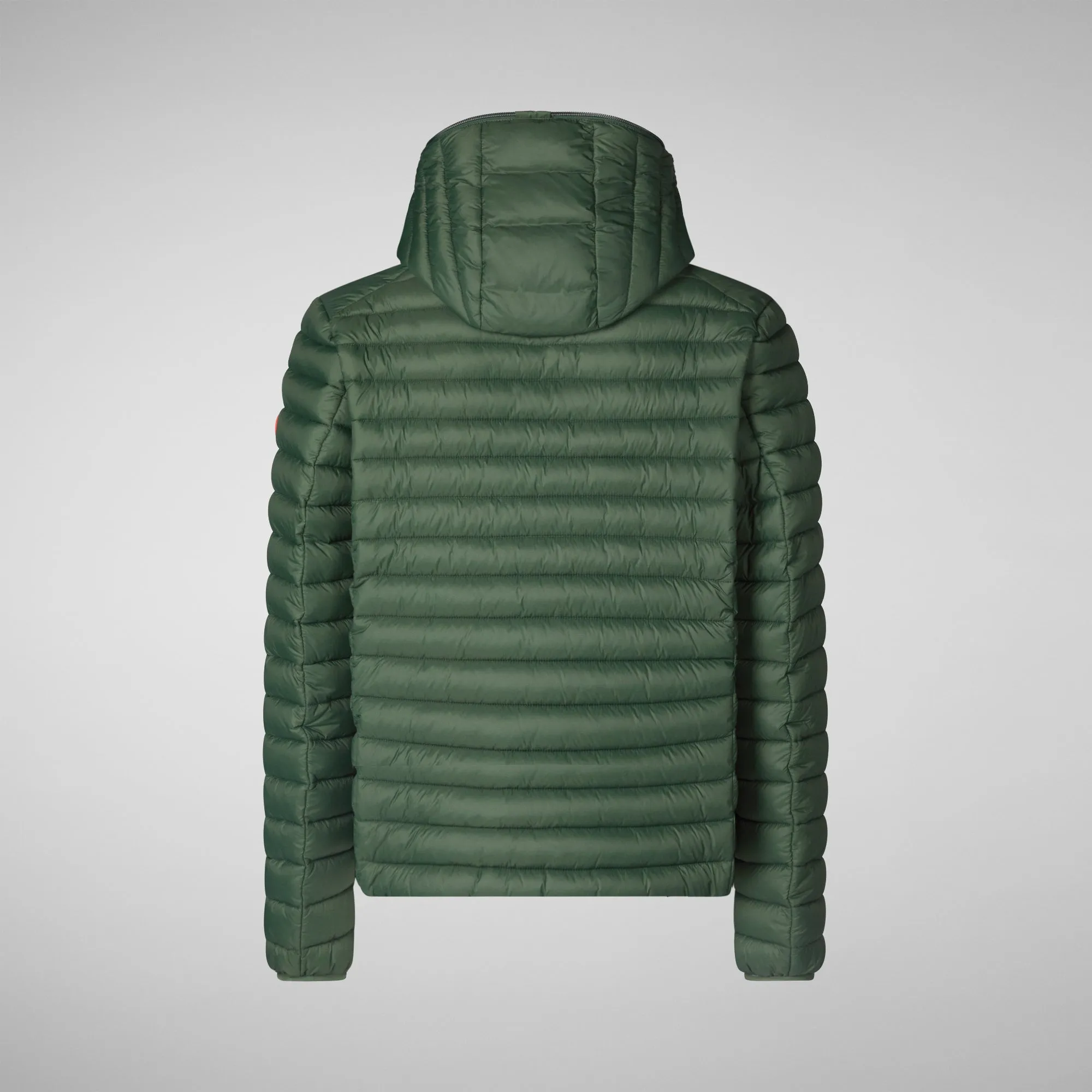 Man's animal free hooded puffer jacket Donald in thyme green