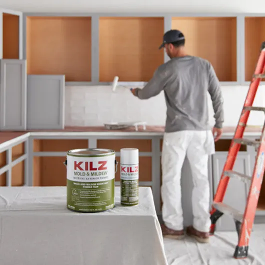 Masterchem KILZ® Mold & Mildew Interior | Exterior Primer