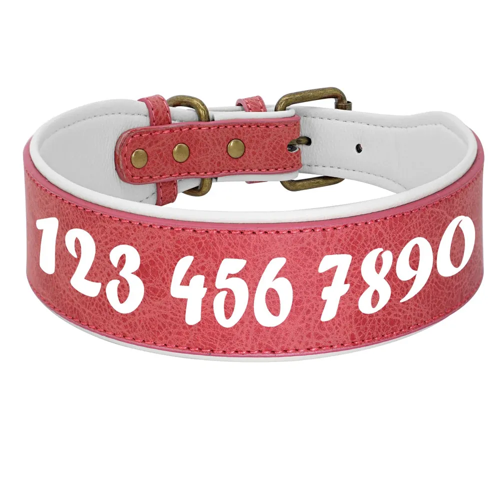 Personalized Leather Dog Collar - Wide Padded Pet ID Collars with Free Name Engraving for Medium to Large Dogs - Perfect for Bulldogs, Huskies, Labradors