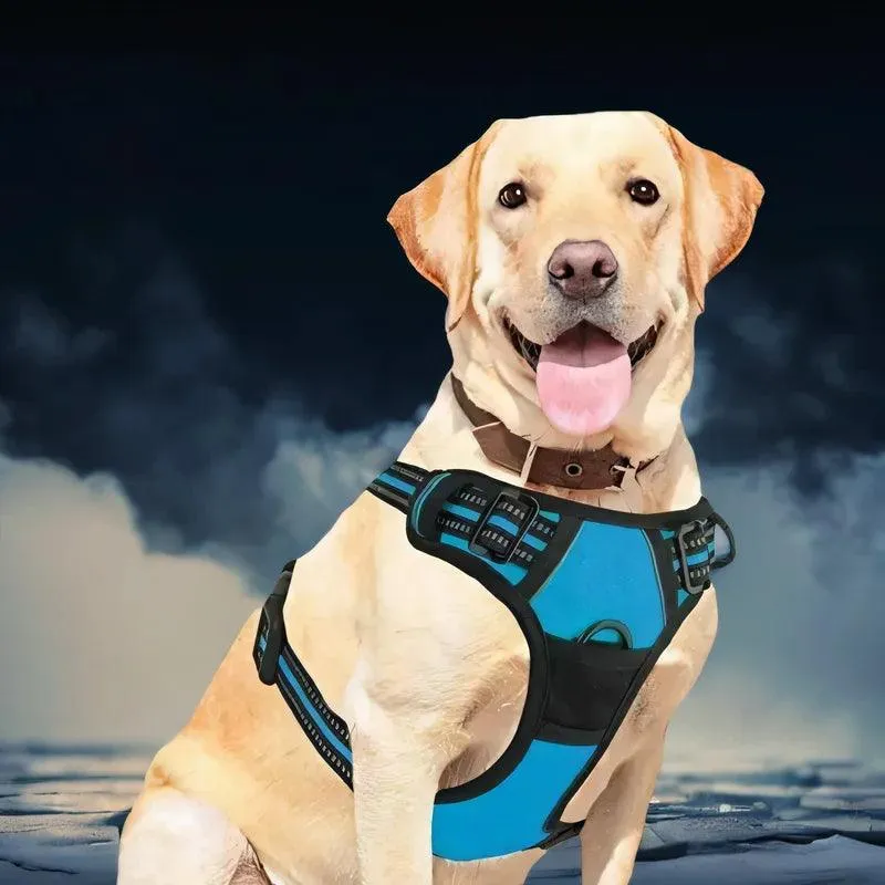 Reflective Dog Harness with Handle