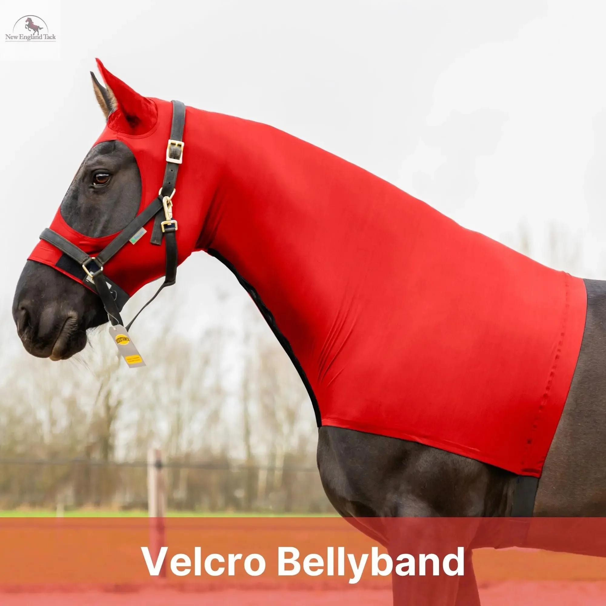 Resistance Horse Hood Slinky Lycra Zippered Mane Braid Shoulder Guard