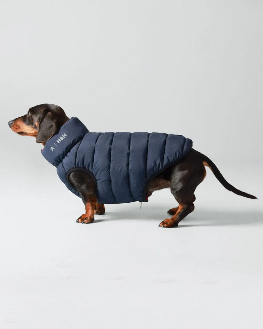 Reversible Dog Puffer Jacket - Navy & Berry