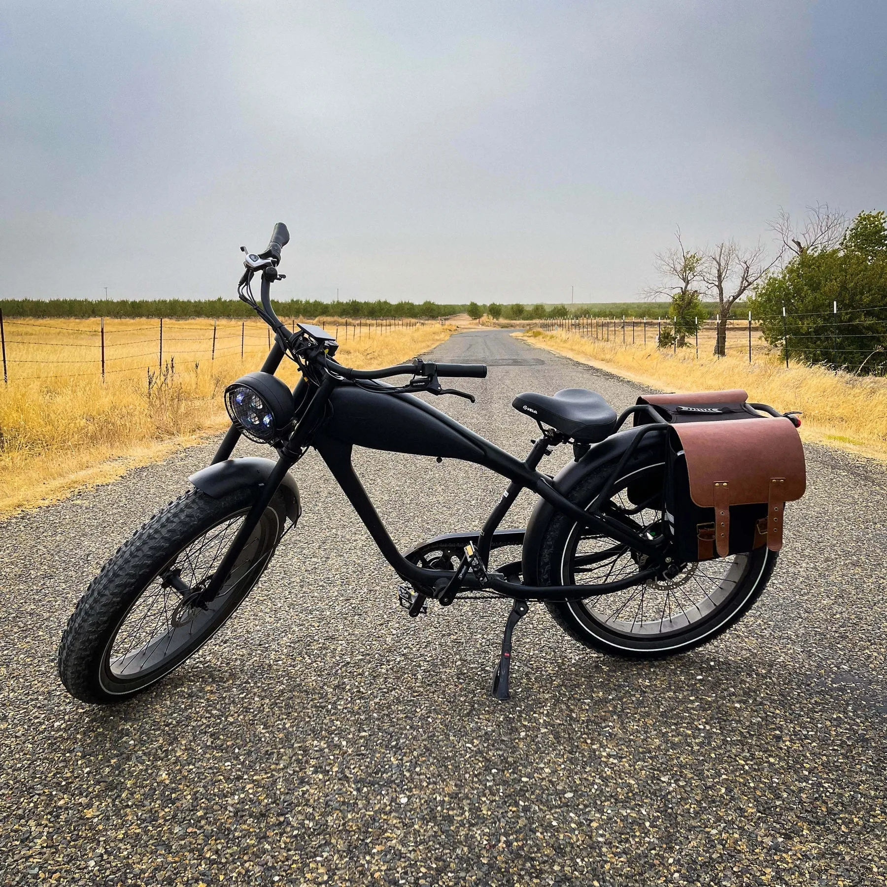 REVIBIKE| Cheetah Plus 48V 17.5Ah Fat Tire Electric Bike