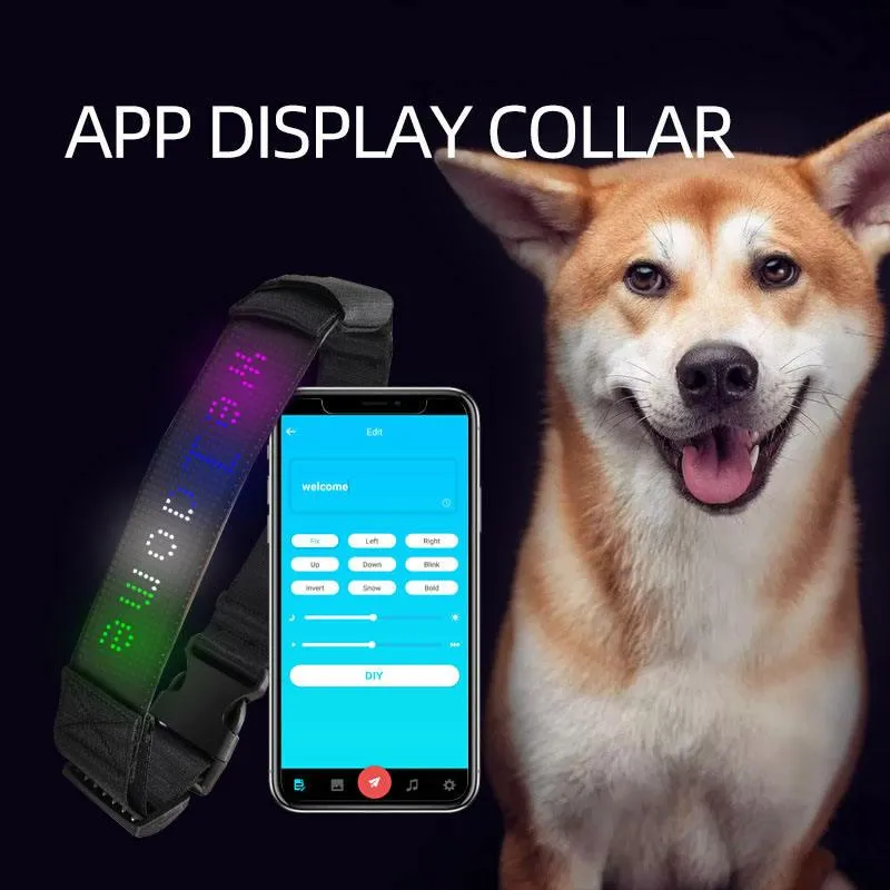 Smart Paws LED Dog Collar