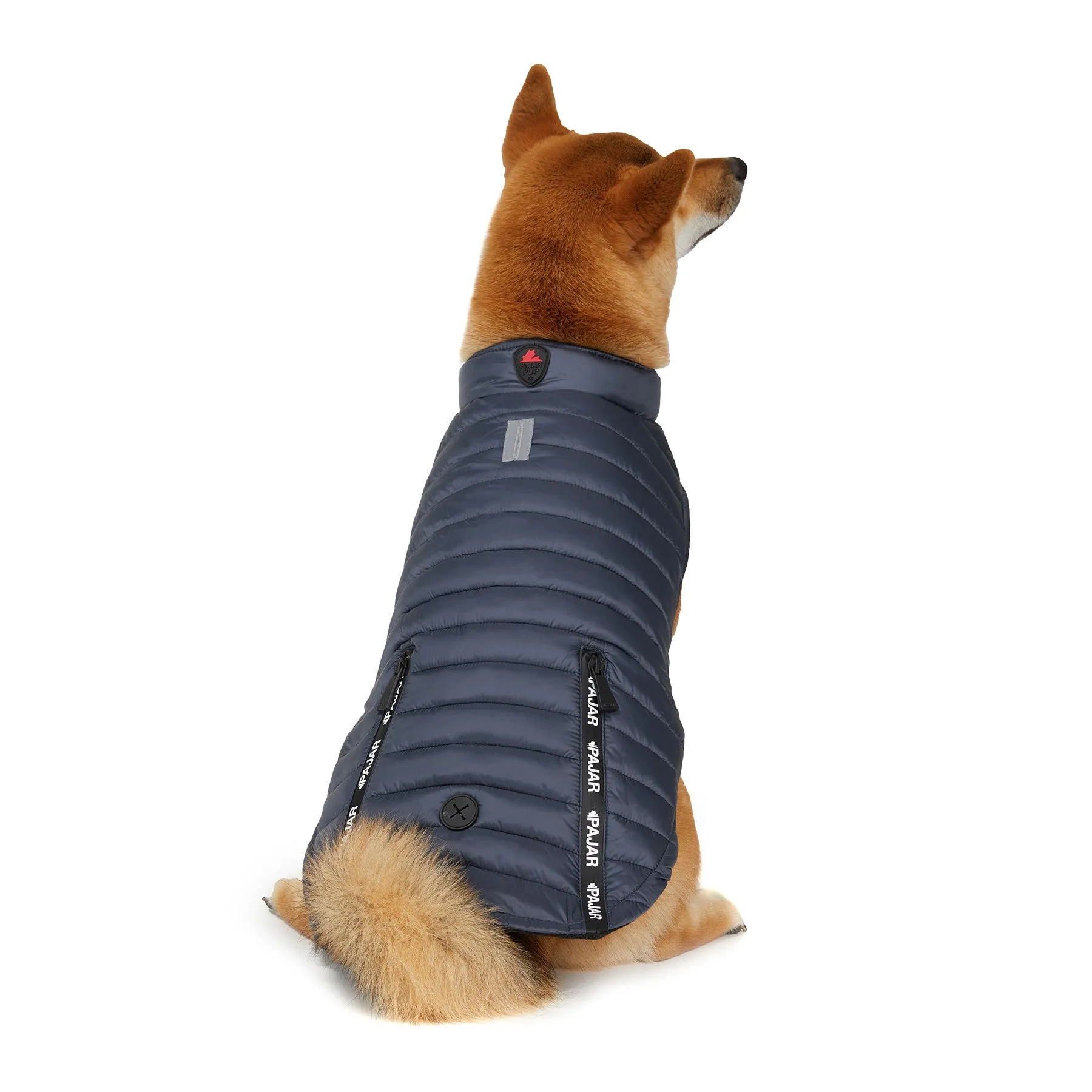 Spencer Jacket for Dogs