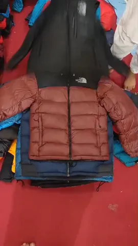 The North Face puffer jacket 700